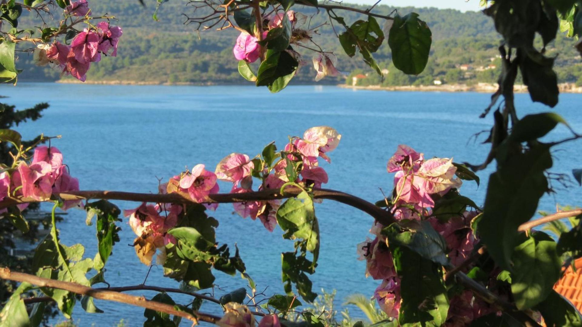 Apartments Janja - Terrace Sea View Nečujam 外观 照片